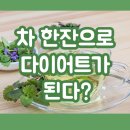 엘뷰티 남포점