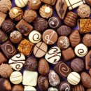 마음편한동물메디컬센터 이미지