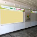 인천신촌초등학교 이미지