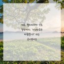 이상치과의원 이미지