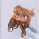 삼부자네 대전점 네이버블로그