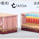 타토아의원 용인점 이미지