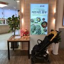 롯데피트인산본점 | 군포 샤브샤브 맛집 🌿 꽃마름 롯데피트인 산본점 내 돈 내산 솔직후기