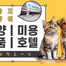 헬로펫 효자점 이미지