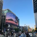 중국 상해 상하이 난징루(남경루) 가볼만한 곳! 화이트래빗 쇼핑 먹방 투어