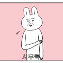 그루밍쇼 이미지