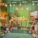 동읍751 | 창원 동읍 동창원식물원 로즈데코 창원점 토분/빈티지 화분 구매 후기