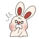 성신동물병원 이미지