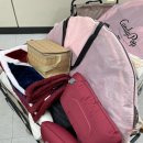 물빛세탁 | 여의도 한강텐트대여 노블피크닉 봄맞이 시그니처텐트세트 대여 생생 후기