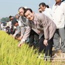 보성군농협쌀조합공동사업법인 이미지