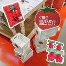 전국물산 | 여름엔 역시 토마토코어지! 홍대 AK몰 '토마토 물산전' 구경 후기
