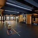 성남 탑 복싱 이미지