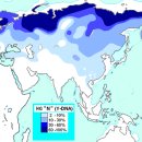 북부유전자 이미지