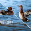 포항이야기 이미지