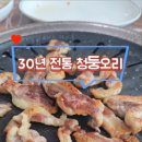 띠뚱띠뚱 오리집 이미지