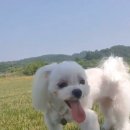 삼일농장 이미지