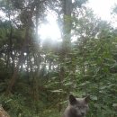 두지농장 이미지