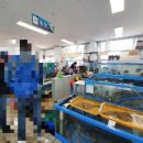 부자수산 이미지