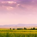 2025년 감사절 메시지_아산UBF_신명기8장 이미지