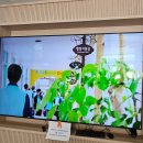 안락중학교 이미지