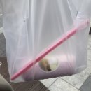 교자엔비어교동택지점