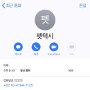 써니펫택시 이미지