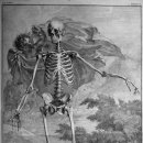 스텔라바디핏 이미지