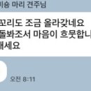 핀 독 이미지