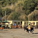 항사농장 이미지