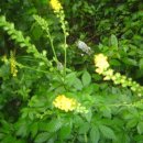 선학초등학교 이미지