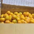 승희축사 | 요즘