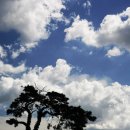 진원동초등학교 이미지