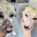 송정동물의료센터 이미지