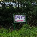 신태인목장 이미지