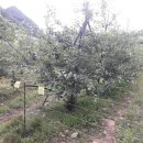 충주 행복한 농장 이미지