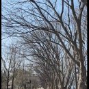 공지천 주차장 이미지