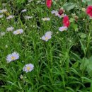 영훈농장 이미지