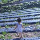 석민농장 이미지