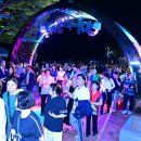 빛의 숲 이미지