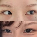 제제스튜디오 속눈썹&눈썹 청라점 | [세레니스튜디오] 청라 속눈썹 펌 솔직 후기/블랙틴팅펌
