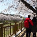 금산천 데크길 이미지