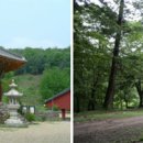 금산 자연 오토캠핑장 이미지