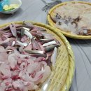 진평종합회수산시장 티스토리