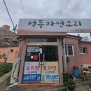 석동자연오리 이미지
