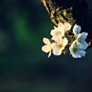 이화목장 이미지