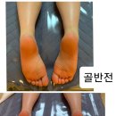 손미담