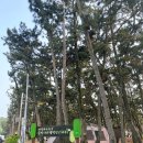 대천해수욕장 국민여가캠핑장(1지구) | [대천 국민여가캠핑장] 대천해수욕장 캠핑장 예약 화장실 샤워장 등등 소개
