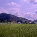 분식카페 이미지