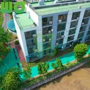 수웅누리@ 이미지