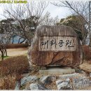 (경남 양산) 원동 매화공원, 순매원 (22.03.12) 이미지